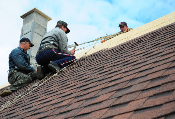 Best Roof Gutter Cleaning  in Milton Freewater, OR